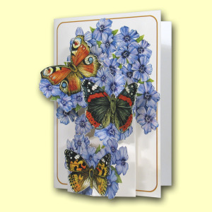 201 BL Title Card Web