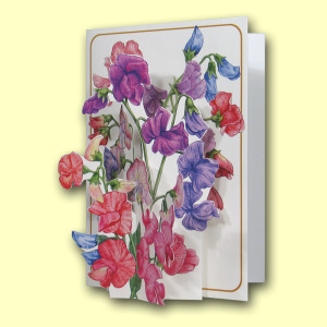 202 BL Title Card Web