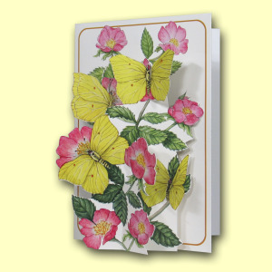 207 BL Title Card Web