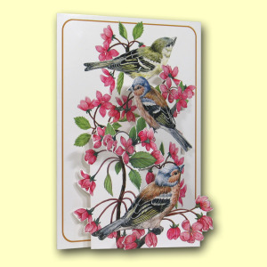 211 BL Title Card Web