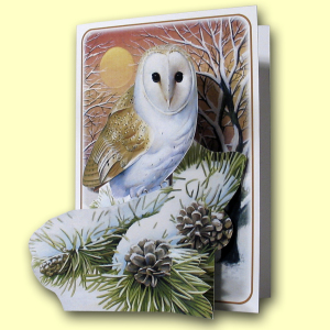 PIC406 Barn Owl PIC406 Barn Owl