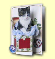 Christmas Kitten in Box