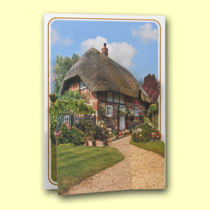 215 BL Title Card Web