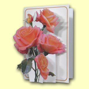 217 BL Title Card Web