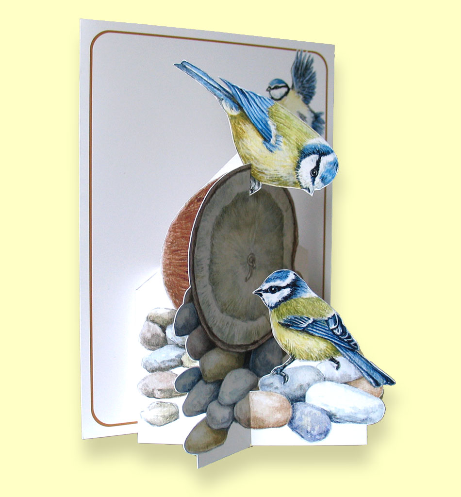 Cricket Pop Up Card, Cricket Cards, Father's Day Cards